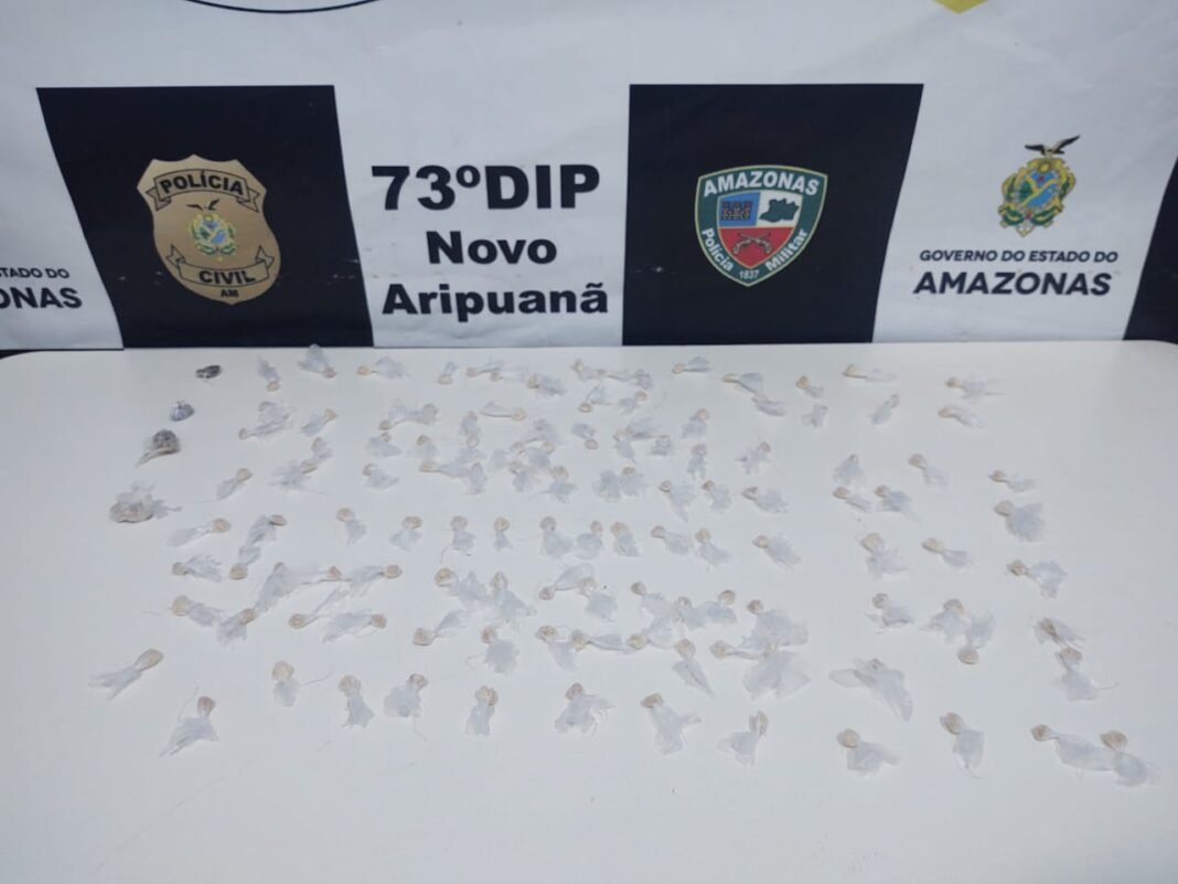 MATERIAL-APREENDIDO-2