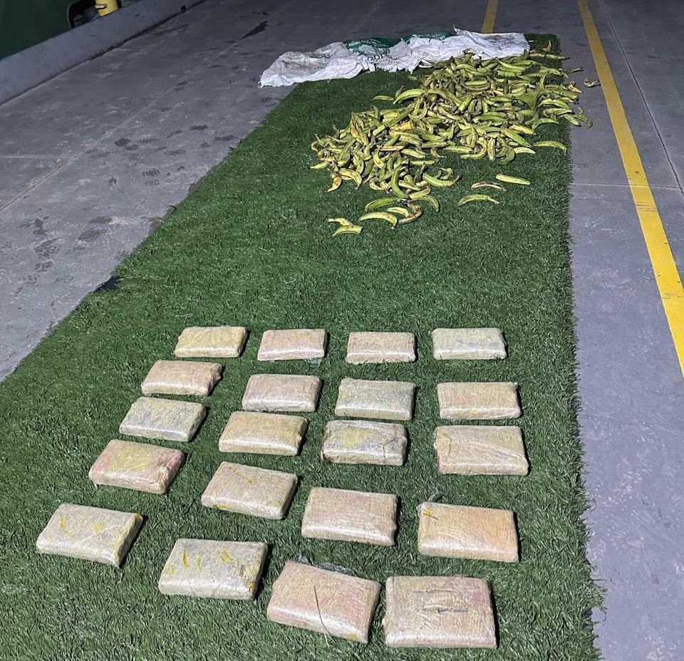 WhatsApp Image 2024-11-28 at 11.58.02