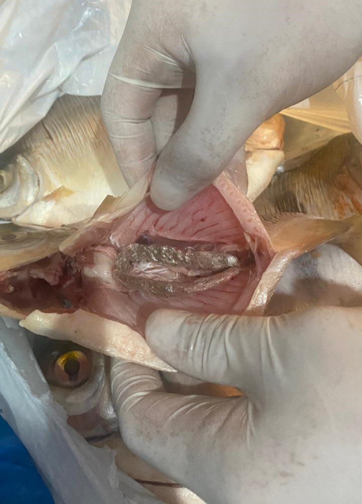 PCAM_MATERIAL APREENDIDO_FOTO DIVULGAÇÃO (3) (3)