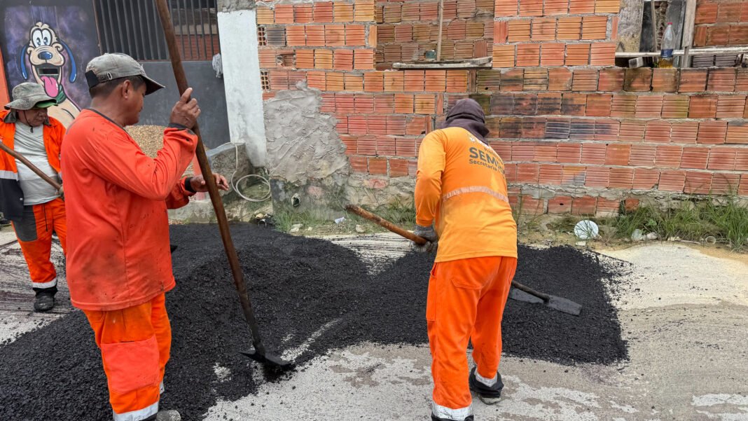 54349817667_8242c066a1_k