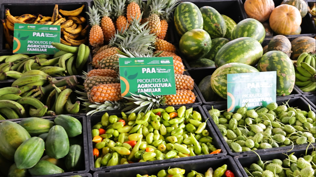 Captura de tela de 2025-03-25 17-20-06