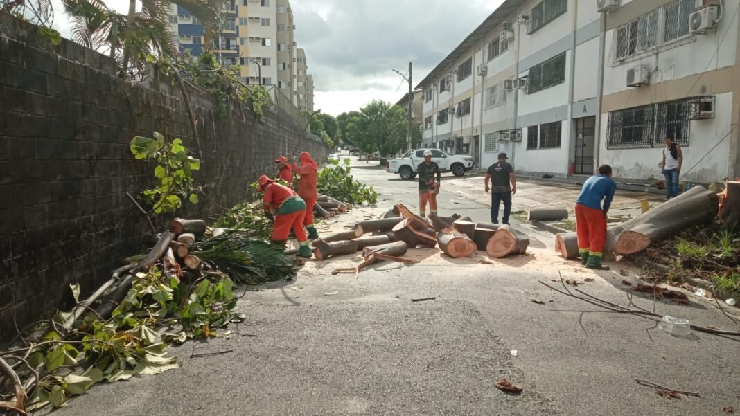 Prefeitura reforça equipes de limpeza e manutenção urbana para mitigar impactos das chuvas 3