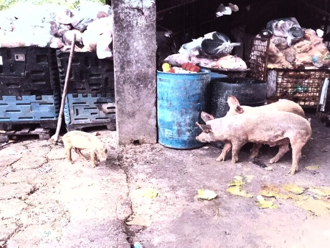 WhatsApp Image 2025-03-13 at 15.15.18