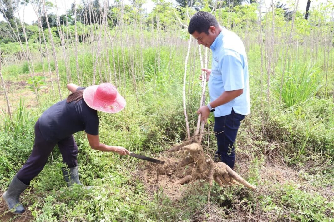 SEPROR_VISITA TÉCNICA NA ZONA RURAL DE MANAUS_PRODUTORA RENEIDE CAVALCANTE ACOMPANHADA PELO SECRETÁRIO DANIEL BORGES_FOTO ISAAC MAIA