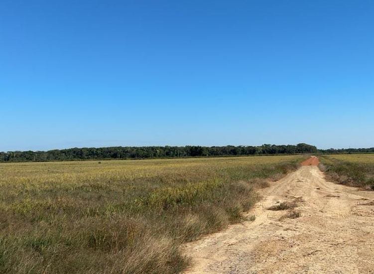 ADAF04_VAZIO SANITÁRIO DA SOJA