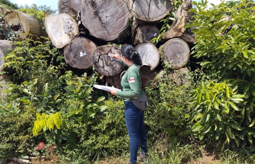 Ipaam_Manejo florestal no Amazonas_Foto 1 - Arquivo-Ipaam - 21-09-2025