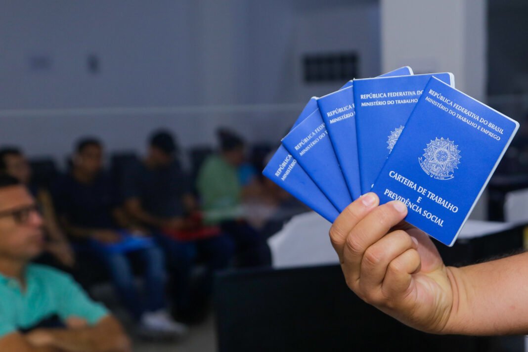 54523926199_e0550a3eda_k