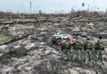 Desmatamento na Amazônia ameaça igarapés e segurança hídrica