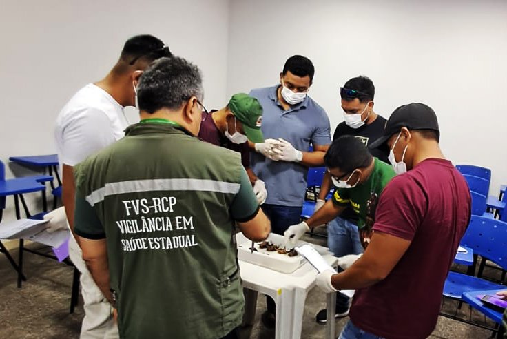 FVS-RCP_TreinamentoemManejodeMorcego_FOTO_Divulgação