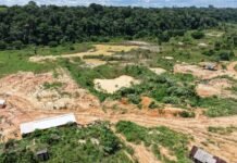 Ipaam identifica garimpo ilegal em Maués