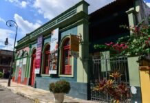 ‘Amazonas Artes Visuais 2025’ reúne artistas e curadores para discutir os caminhos da arte na Amazônia