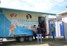 Sepet divulga data para agendamento de castração de animais no Santa Etelvina