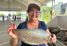 Feirão do Pescado deve comercializar cerca de 50 toneladas de peixe em dois dias