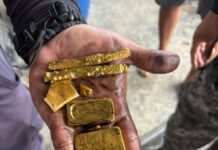 PMAM prende homem por transporte ilegal de ouro