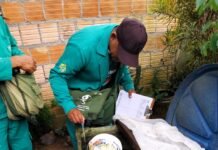 FVS-RCP atualiza situação das arboviroses no estado