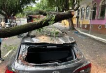 Corpo de Bombeiros desobstrui avenida interditada após tronco cair em cima de veículo