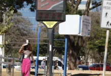 Efeitos das mudanças do clima agravam alergias, diz especialista