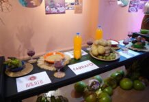 Mostra na Galeria do Largo transforma gastronomia em expressão de identidade e memória