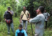 Pesquisa identifica os circuitos de extração e comercialização do açaí e do mapati