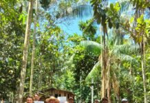 Idam capacita produtores da cadeia produtiva da avicultura de Barcelos