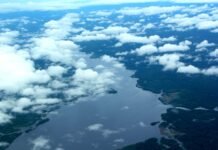 Amazonas registra em novembro o menor número de focos de calor desde 2021