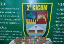 Polícia apreende 24 tabletes de drogas que estavam enterrados em área de mata