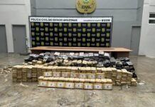 Polícia apreende mais de uma tonelada de entorpecentes em micro-ônibus na AM-010