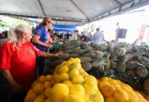 “Eu recebi verduras, frutas; isso ajuda eu e a minha família”, diz beneficiária sobre a entrega de alimentos do PAA