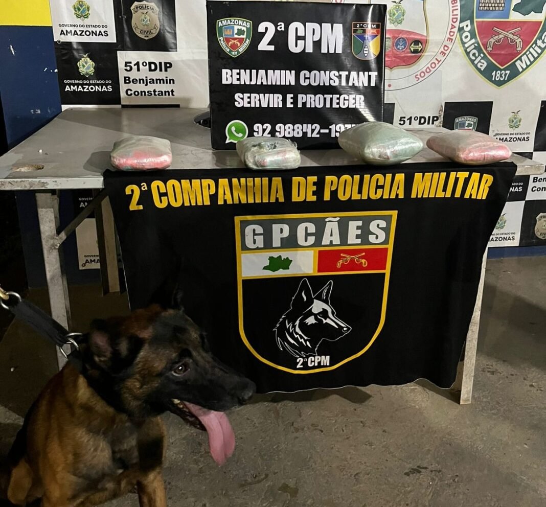 SSP-AM_OPERAÇÃO_FARO_PMAM_FOTOS_DIVULGAÇÃO_SSP_AM (2)