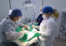 Hospital Público Veterinário do Amazonas já realizou mais de 70 mil procedimentos