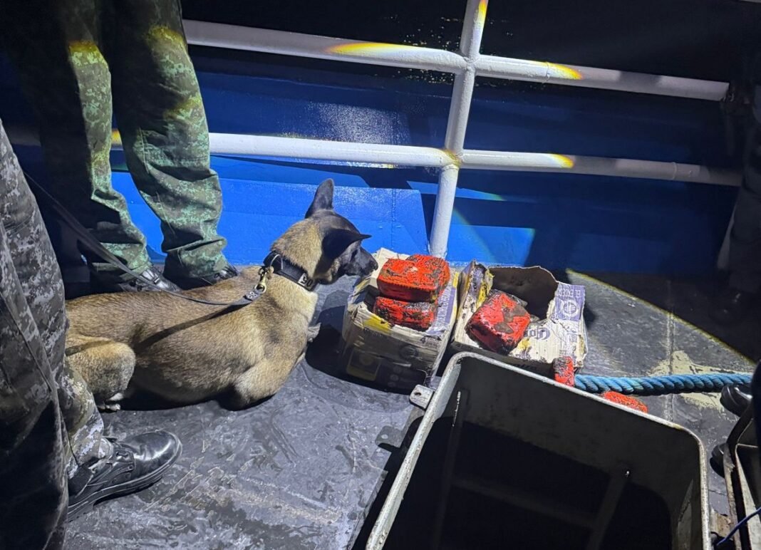 WhatsApp Image 2025-12-05 at 13.45.55