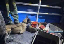 PMAM apreende 21 quilos de pasta-base avaliados em mais de R$1 milhão