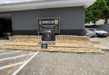 Polícia cumpre mandados em três estados contra organização criminosa