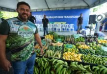 Wilson Lima entrega mais de 40 toneladas de alimentos para famílias em situação de vulnerabilidade