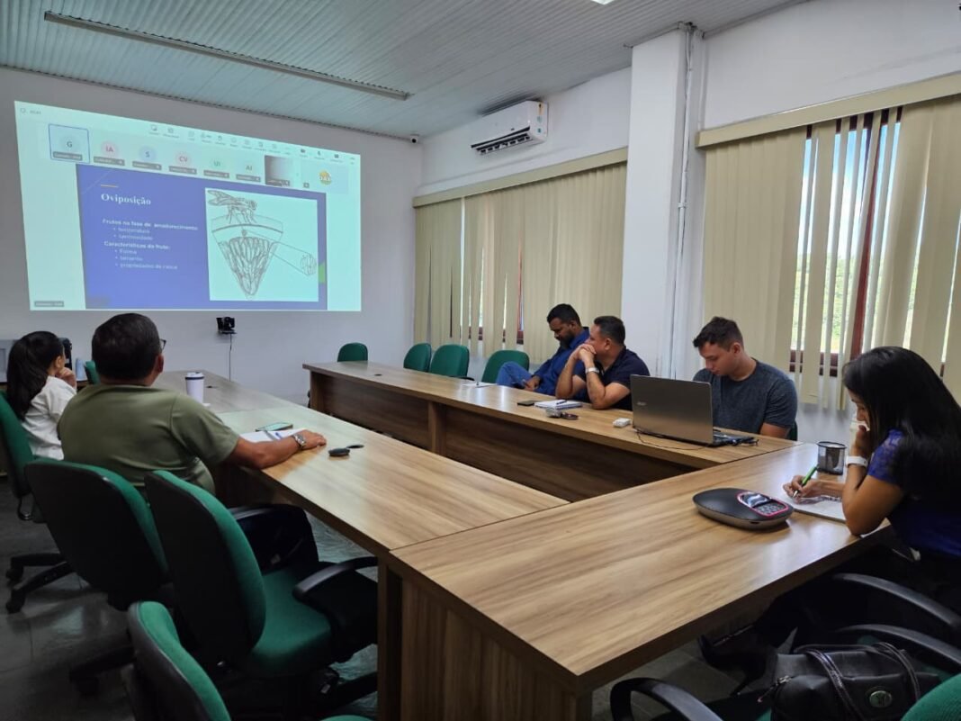 Idam-Capacitação-Mosca-da-Carambola-Foto Carlos Soares-Idam