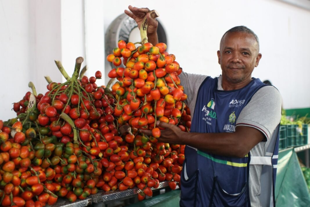 Linha de crédito para feirantes e moveleiros_Foto Jorge Brandão