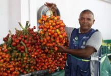 ADS disponibiliza linha de crédito a feirantes e moveleiros em parceria com a Afeam