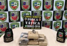 Polícia Militar do Amazonas apreende seis tabletes de droga em residência abandonada na zona oeste