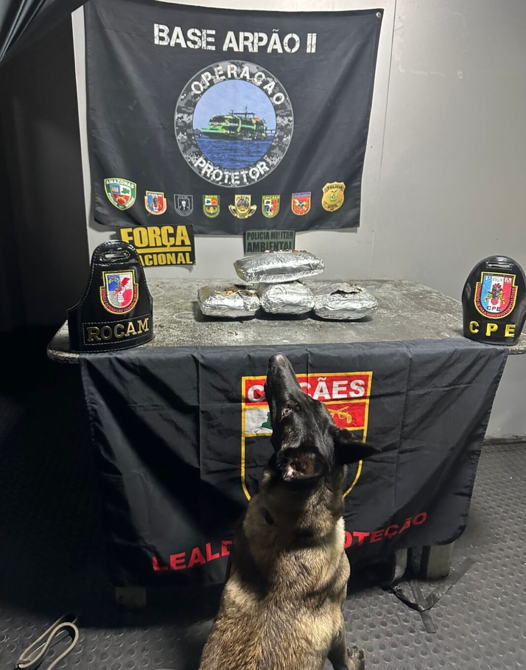 SSP_AM_OITOKGDROGA_ARPÃO2_FOTO_DIVULGAÇÃO_SSP_AM_02