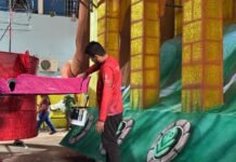 Confira a ordem e os horários dos desfiles das escolas de samba do grupo especial de Manaus