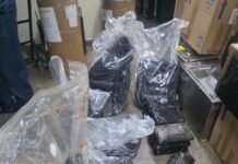 Operação Eldorado: PC-AM apreende maconha do tipo skunk avaliada em R$ 3 milhões no bairro São Raimundo