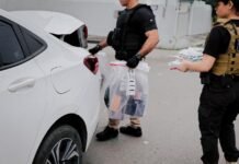 Membros de organização criminosa são presos por golpes financeiros avaliados em mais de R$ 75 milhões