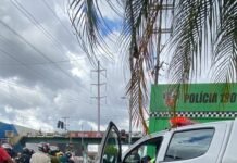 PMAM prende mulher procurada por roubo com auxílio do Paredão na zona leste de Manaus