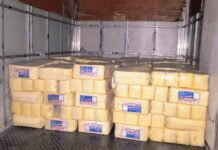 Visa Manaus apreende duas toneladas de queijo vencido em comércio na zona Centro-Oeste da cidade