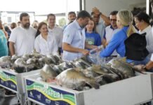 Governador Wilson Lima inicia entrega de 470 toneladas de peixe e reforça segurança alimentar na Semana Santa