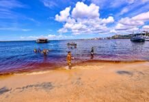 David Almeida resgata praia da Ponta Branca e devolve área de lazer às famílias da zona Sul