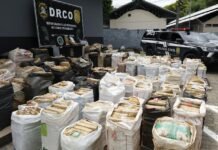 PC-AM prende apreende cerca de 4,5 toneladas de skunk avaliadas em mais de R$ 86 milhões