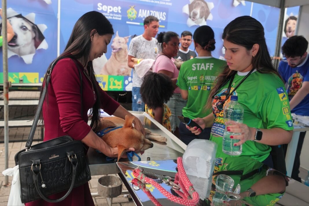 WhatsApp Image 2026-03-30 at 14.09.04