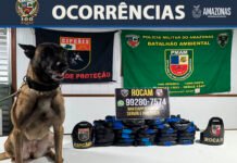 Base Tiradentes: PMAM apreende 26 kg de entorpecentes e prende suspeito por tráfico de drogas