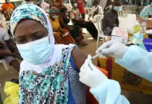 Vacina contra cepa do ebola na África pode demorar até 9 meses